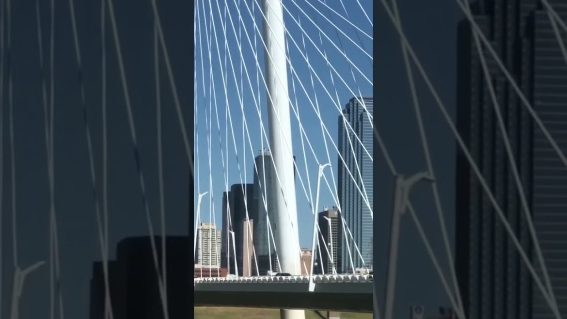 #Live #video #shortvideo #Youtubeshorts #trending  #reels  #gardentastic #viral #youtube #shorts