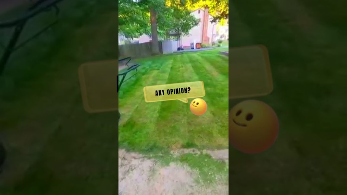LAWN CARE