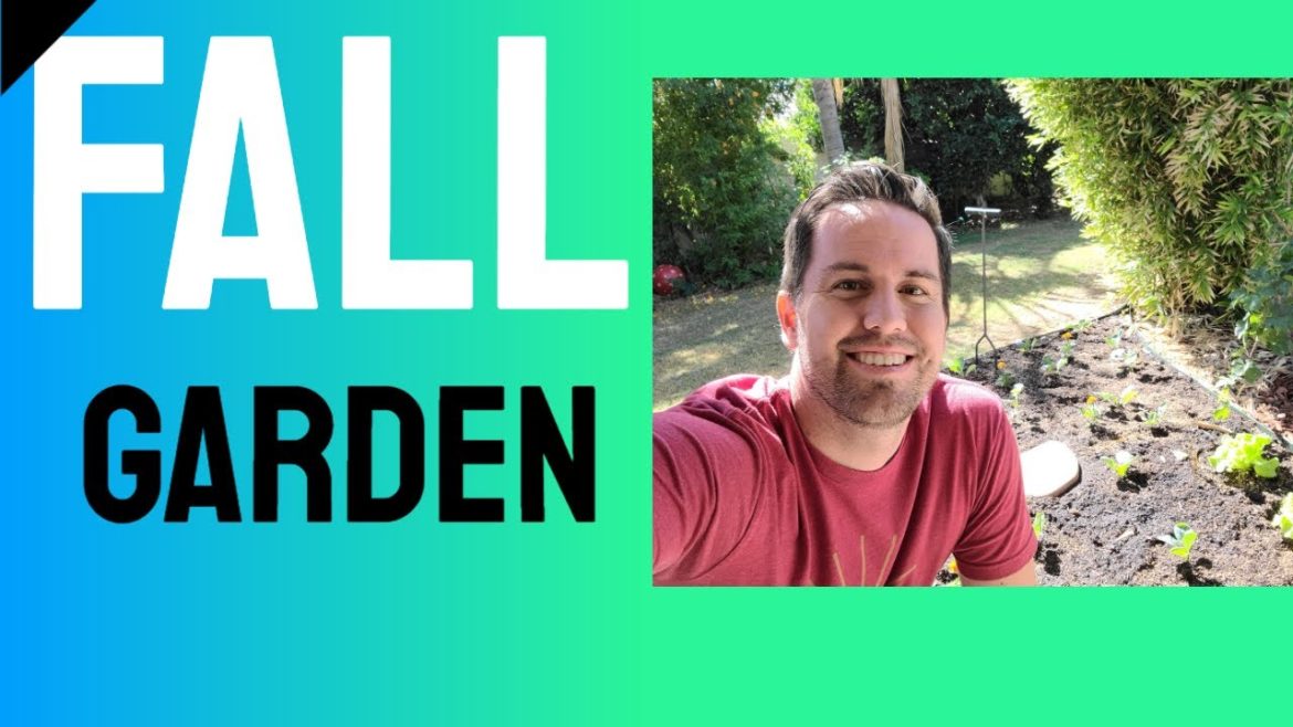 Gardening- Tips To Plant An Awesome Fall Garden Gardening- Tips To Plant An Awesome Fall Garden