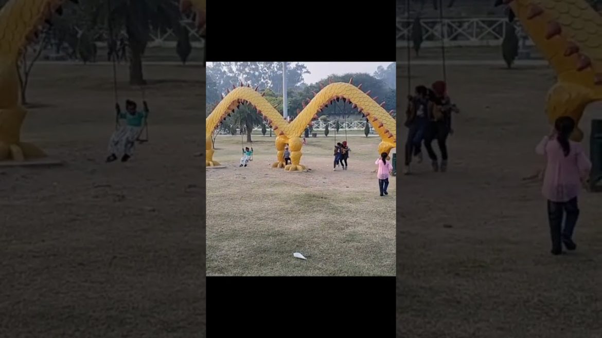 Chandigarh - Japanese Garden #shorts #ytshorts #ashortaday