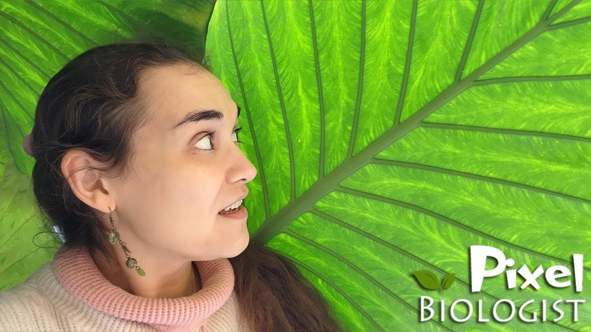 Turning Over A New Leaf 🍃 TLDR: Last Year Sucked, I'm Never Doing That Again