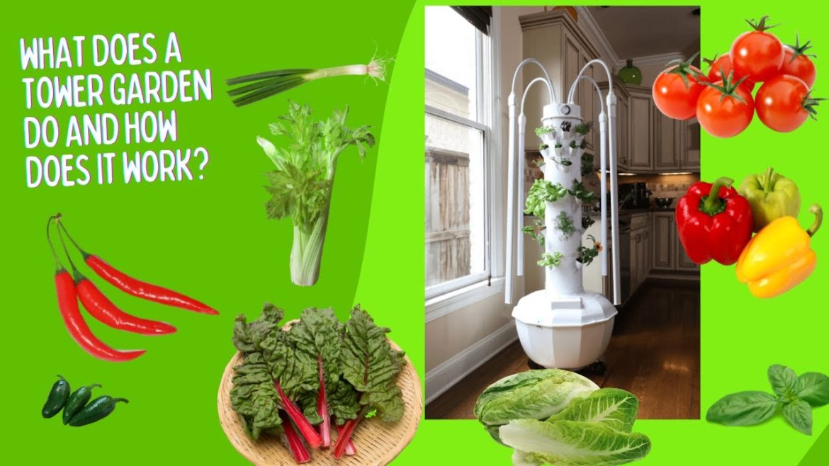 What Does a Tower Garden Do and How Does it Work? | Buy Tower Garden #towergarden
