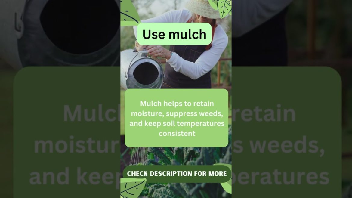 Best Gardening Tips & Hacks 6 Best Gardening Tips & Hacks 6