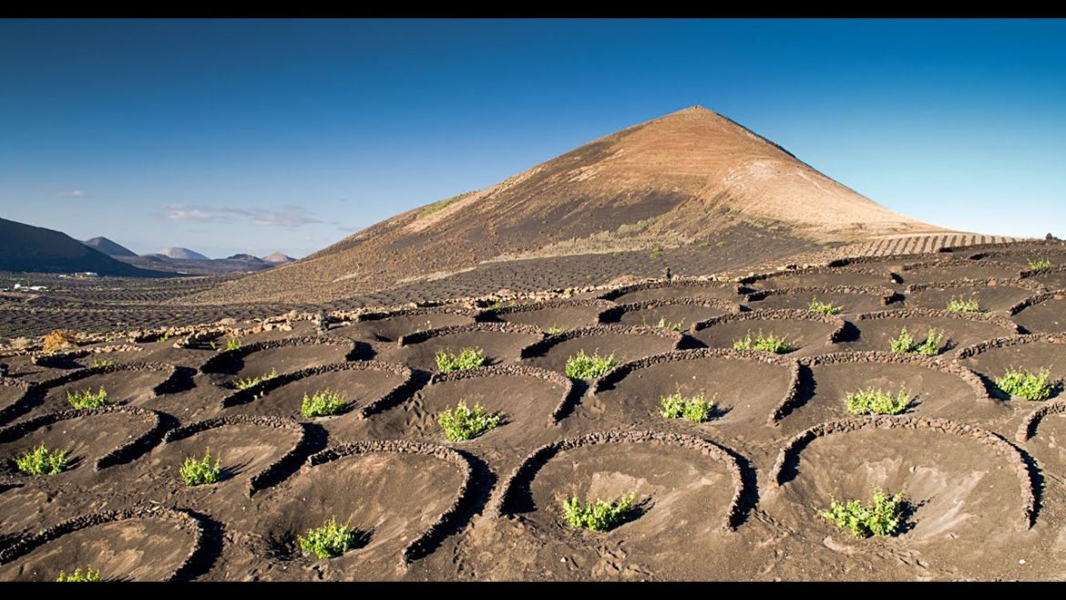 Volcano-Talks: Volcanic Particles in Agriculture and Gardening