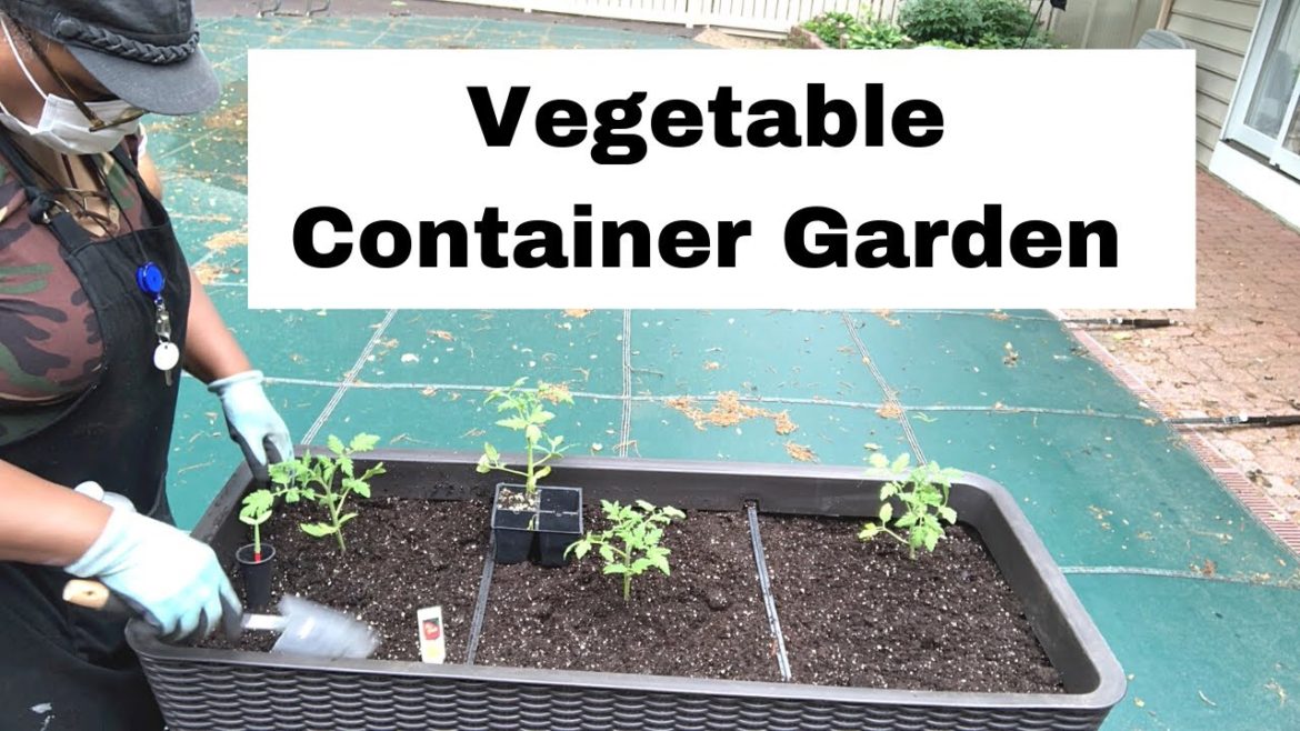 Container Garden - New Vegetable Garden and Herb Garden update