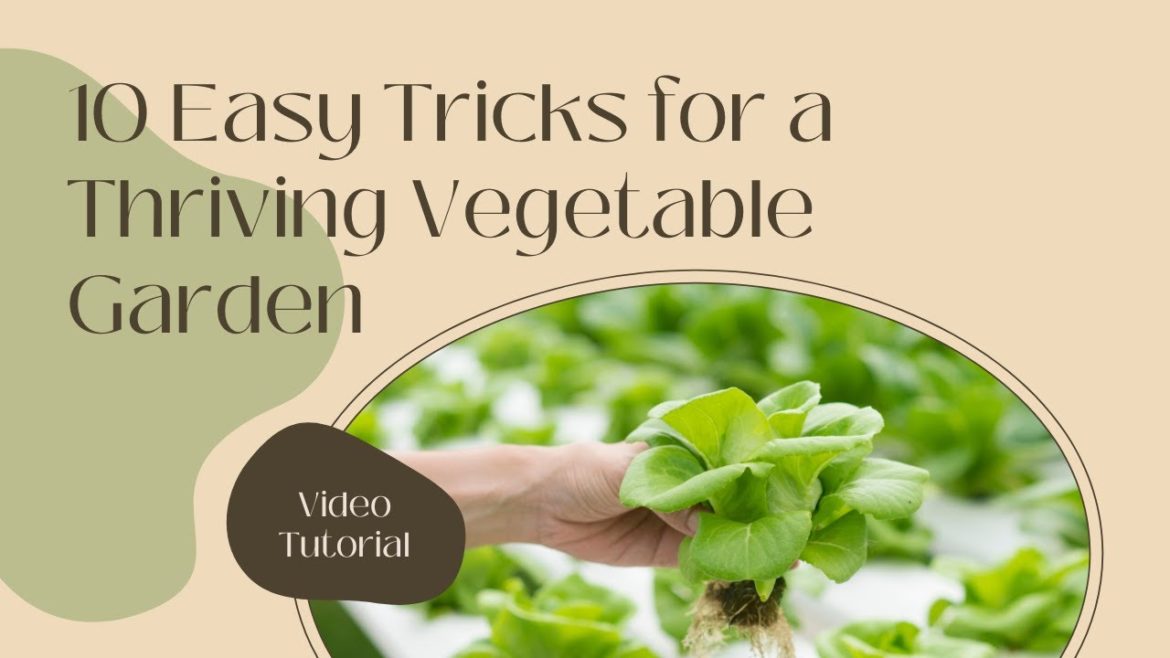 10 Easy Tricks for a Thriving Vegetable Garden 10 Easy Tricks for a Thriving Vegetable Garden