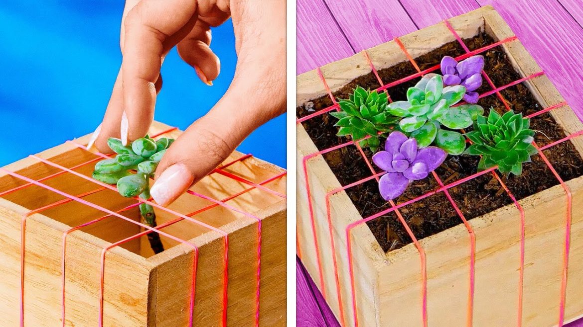 AMAZING INDOOR PLANTS AND GARDENING IDEAS