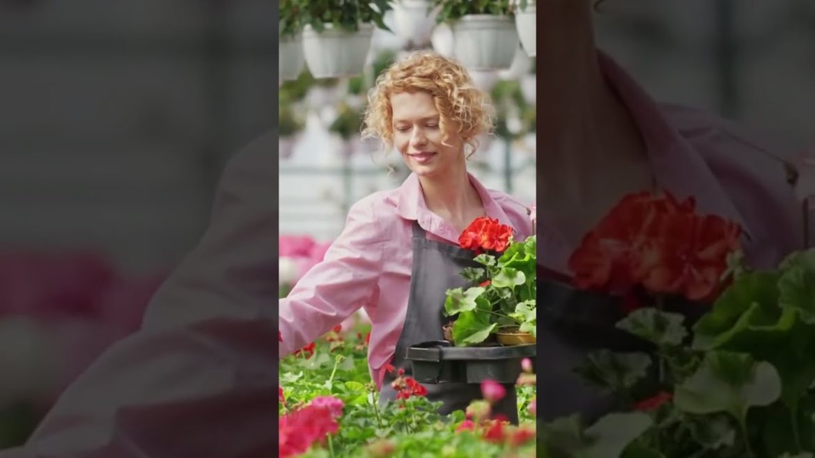 How To Save A Dying Jade Plant? Try These 4 Easy Tips and Trick Which Will Help You!