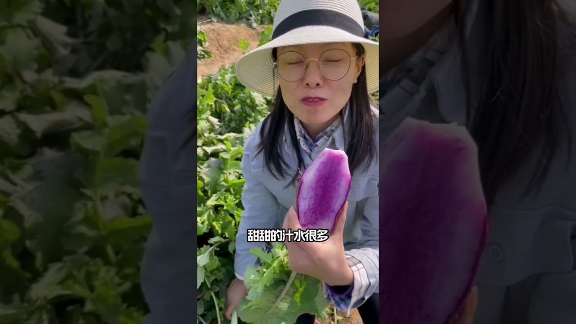 how to growing vegetable #natural #satisfying