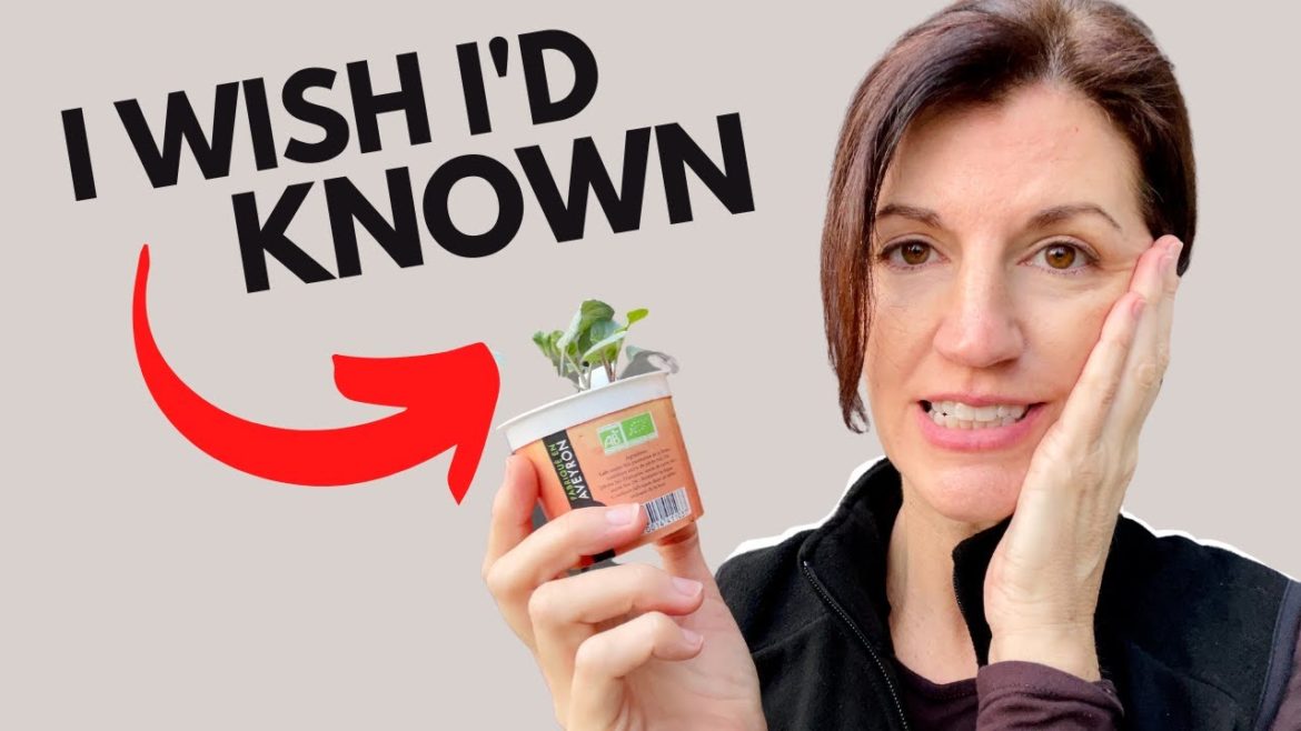 INDOOR SEEDLINGS & the Mistakes that Destroy EVERYTHING!