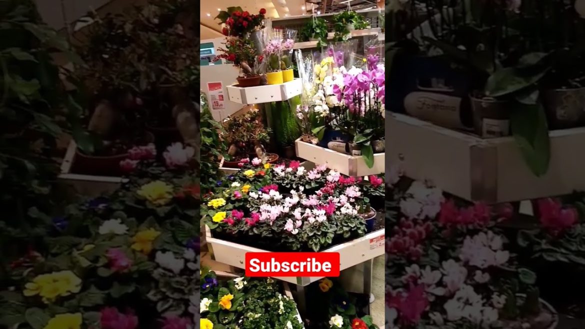 Flowers #viral #shorts#satisfying #italy #youtubeshorts #shorts #trendingshorts #flowers