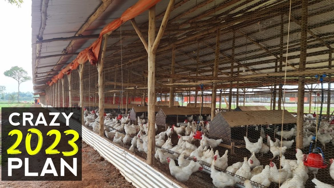 Our CRAZY FARM PLANS For 2023!