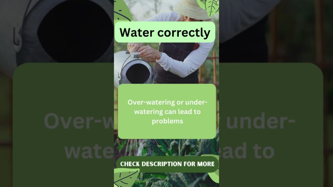 Best Gardening Tips & Hacks 7 Best Gardening Tips & Hacks 7