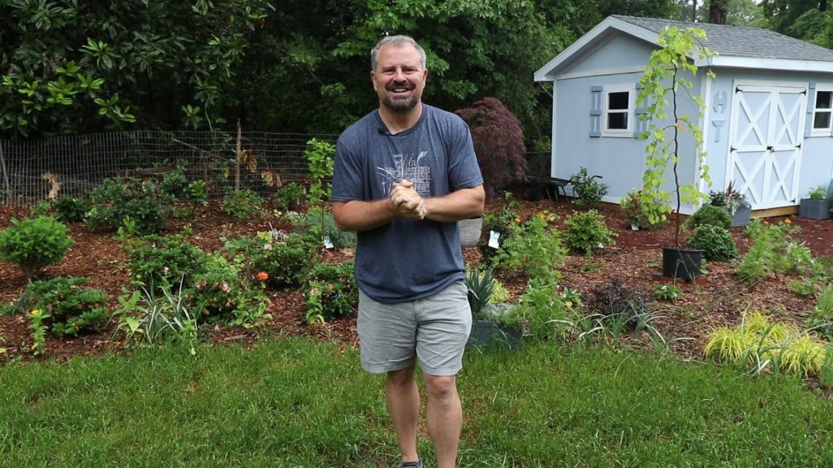 Landscape Update - The Front Yard - 05-20-2020