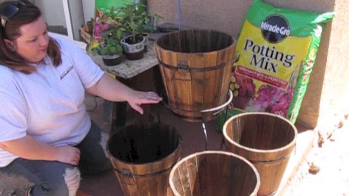 Edible Container Garden