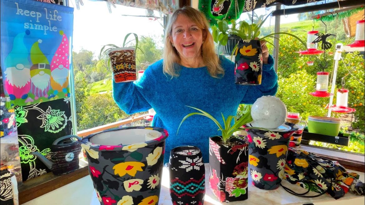 Amazing Plant Pot Ideas DIY recycle Bottles & Food Containers for Small Space Garden & House Plants Amazing Plant Pot Ideas DIY recycle Bottles & Food Containers for Small Space Garden & House Plants