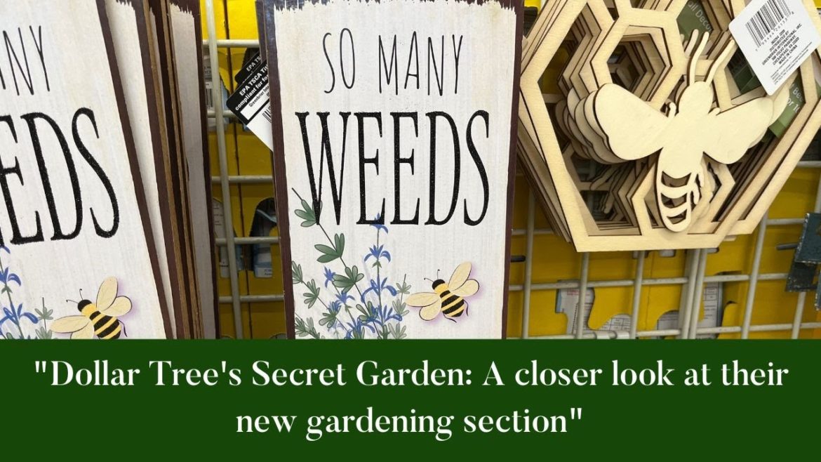 "Dollar Tree's secret garden: A closer look at their new gardening section"