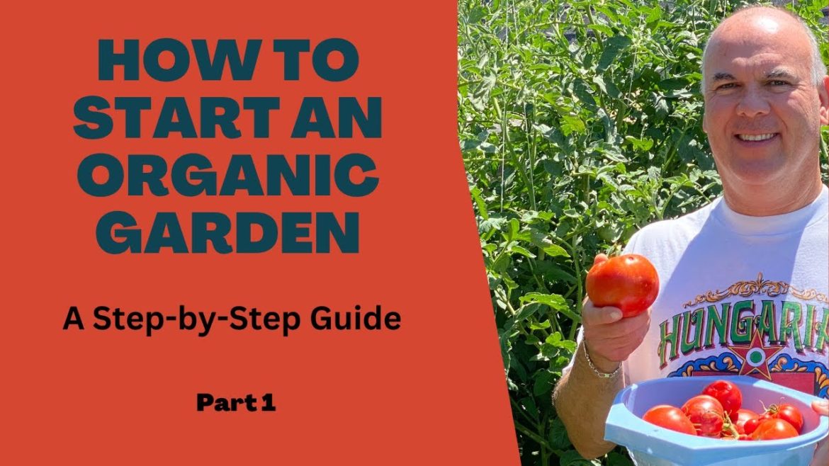 Starting a Vegetable Garden Part 1   The Basics