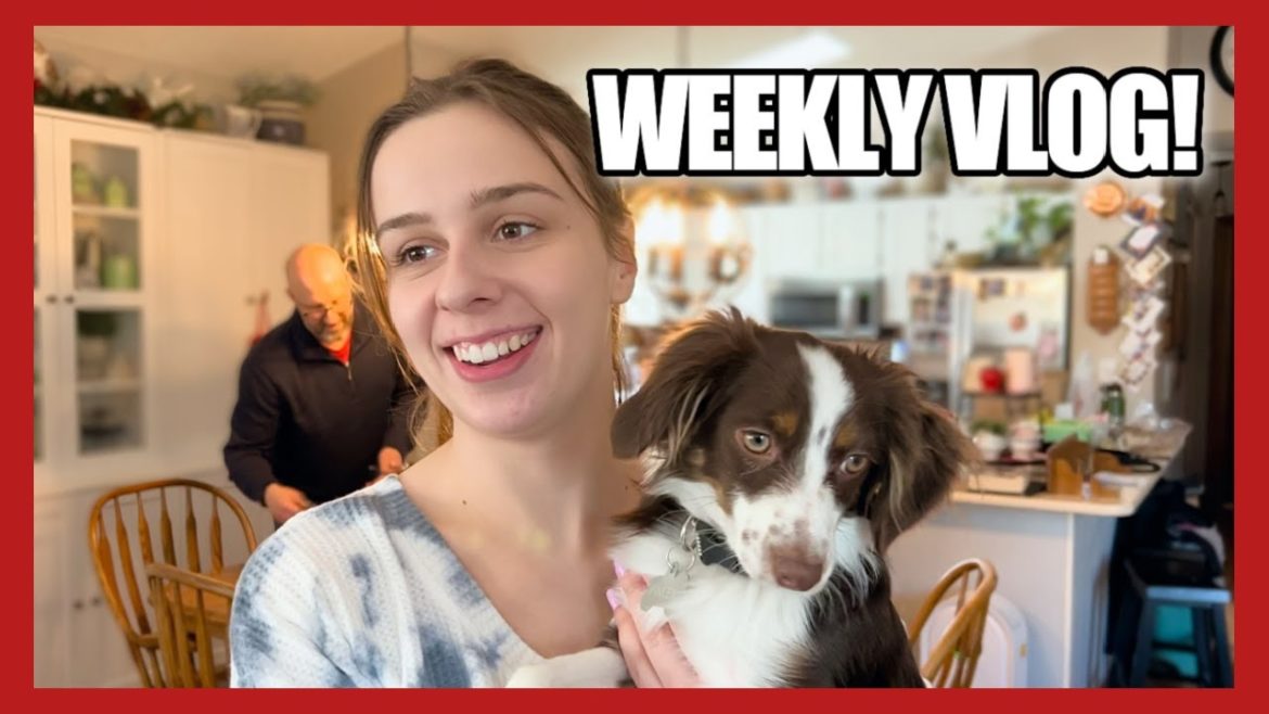 LOW-SPEND JANUARY & PANTRY INVENTORY! WEEKLY VLOG-Family Happenings!! LOW-SPEND JANUARY & PANTRY INVENTORY! WEEKLY VLOG-Family Happenings!!