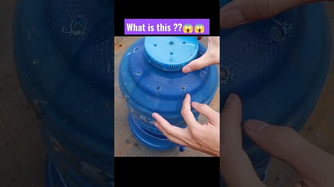 OMG 😳 Tomato grow new ideas 💡 #gardening #shorts #viral #tomato