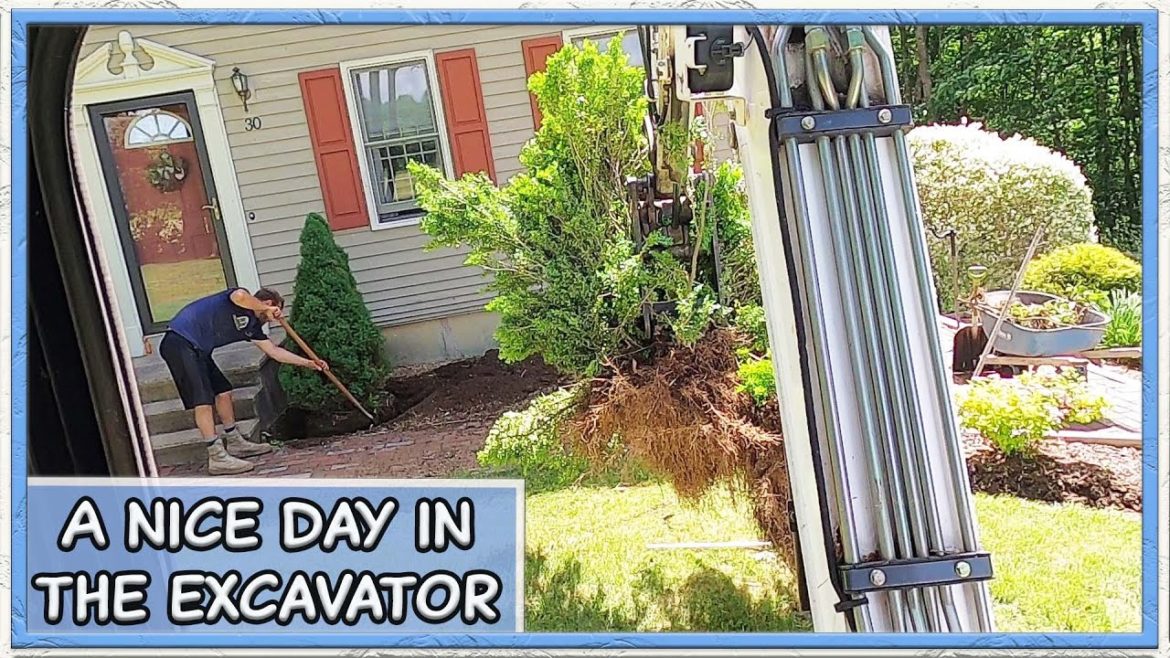 Ripping Out Bushes To Start Off The Next Project....