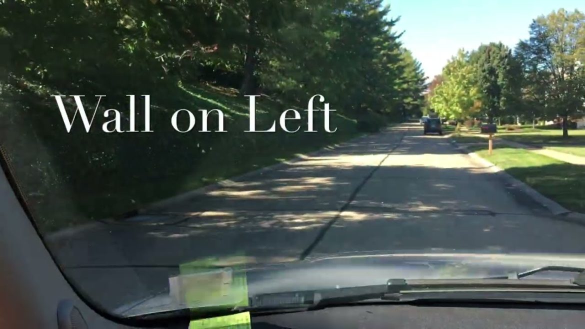 Living Retaining Wall History - part 1