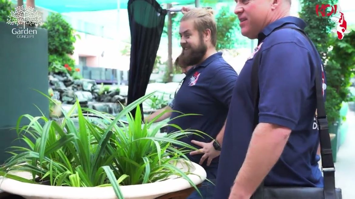 First EVER Koi Appreciation Video IN ARABIC! At the BEST garden center in Dubai, The Garden Concept