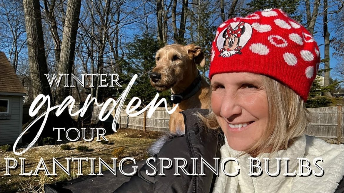 Winter Garden Tour || How to plant Spring bulbs for 2023 || Peek at my Summer gardens #mygardentour