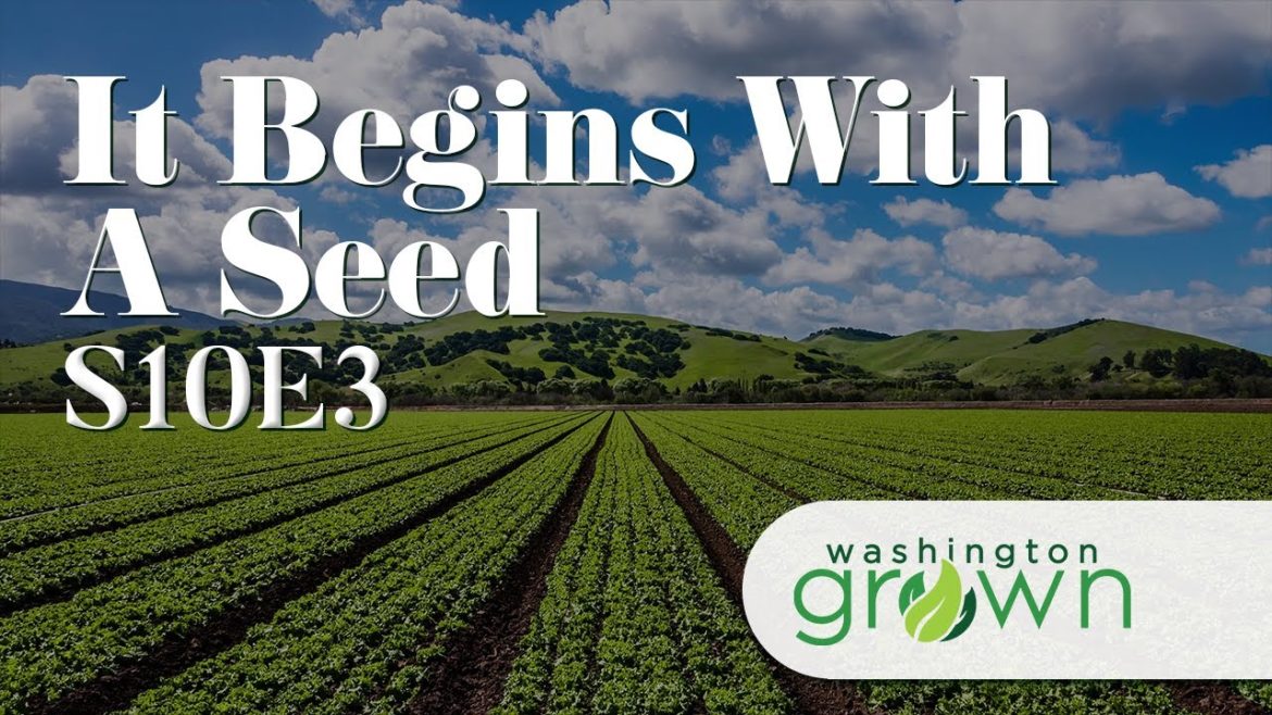 It Begins With A Seed | Washington Grown | S10E3