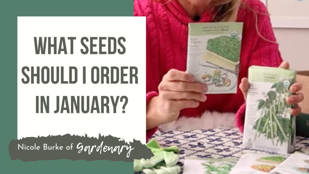 What Seeds Should I Order in January? What Seeds Should I Order in January?