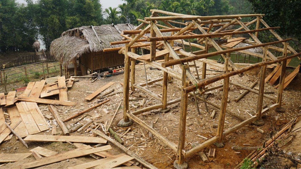 Starting to build a solid wooden house, wild alone, survival, gardening, Free forest CT | Ep 13