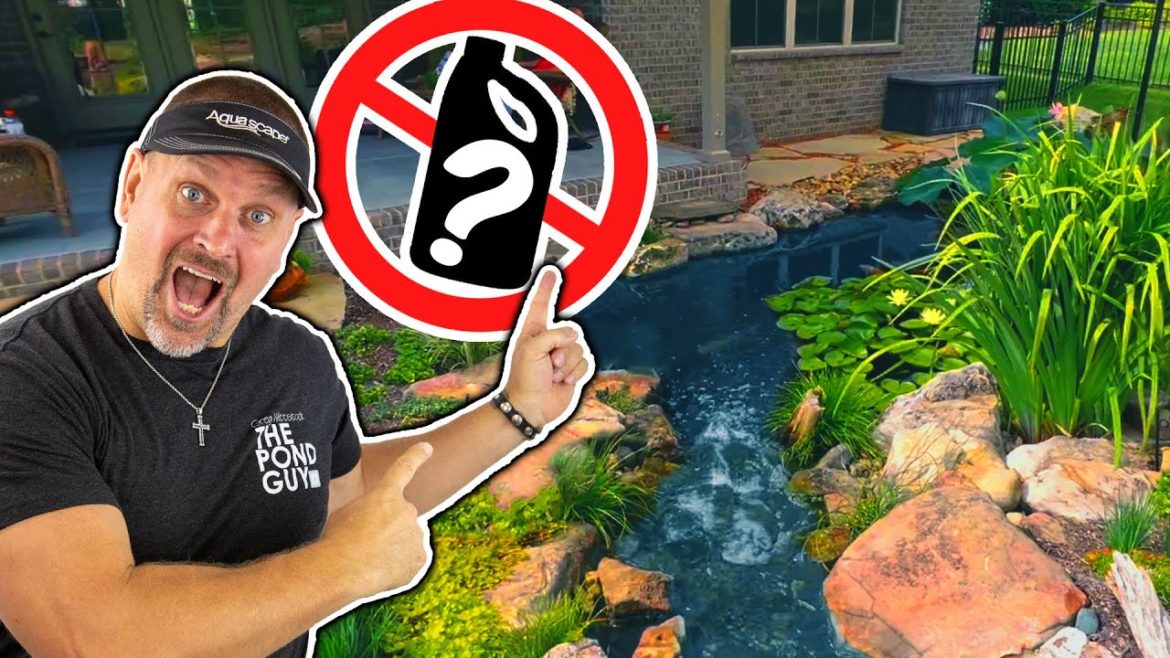 NO LIFE. ONE Thing NOT to USE in a POND NO LIFE. ONE Thing NOT to USE in a POND