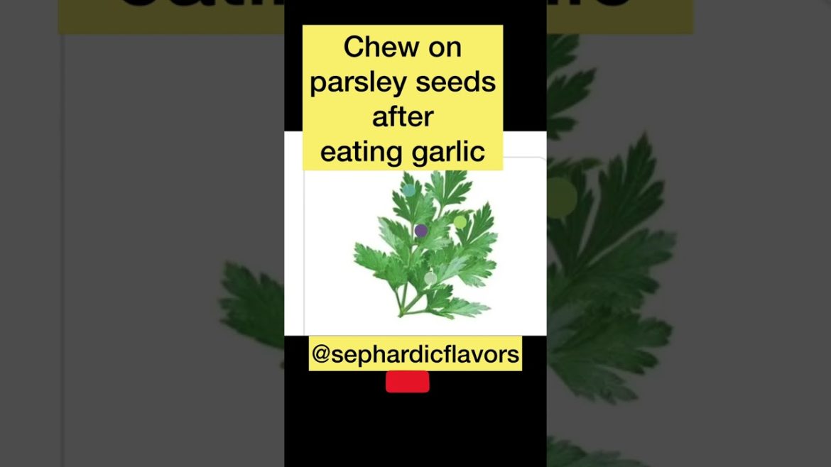 Did you know this about Parsley? #shorts #shortvideo Did you know this about Parsley? #shorts #shortvideo