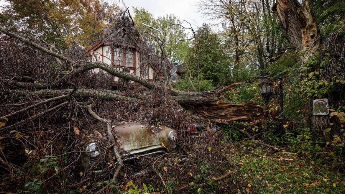 What Happened to the Owner of this Abandoned House? What Happened to the Owner of this Abandoned House?