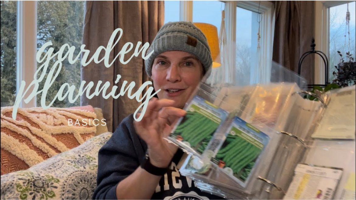 New to Gardening? 4 tips to consider in your planning!