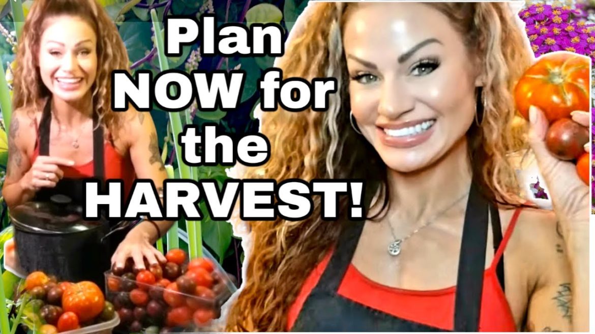 Organic Gardening on a Budget/Planning & Patience/ Garden Tour 2023 #zone9 #goals Organic Gardening on a Budget/Planning & Patience/ Garden Tour 2023 #zone9 #goals