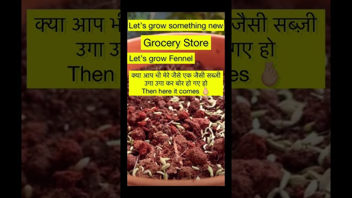 क्या आप भी मेरे जैसे basic vegetables grow कर के bore हो चुके हो 😅#shorts #plants #garden