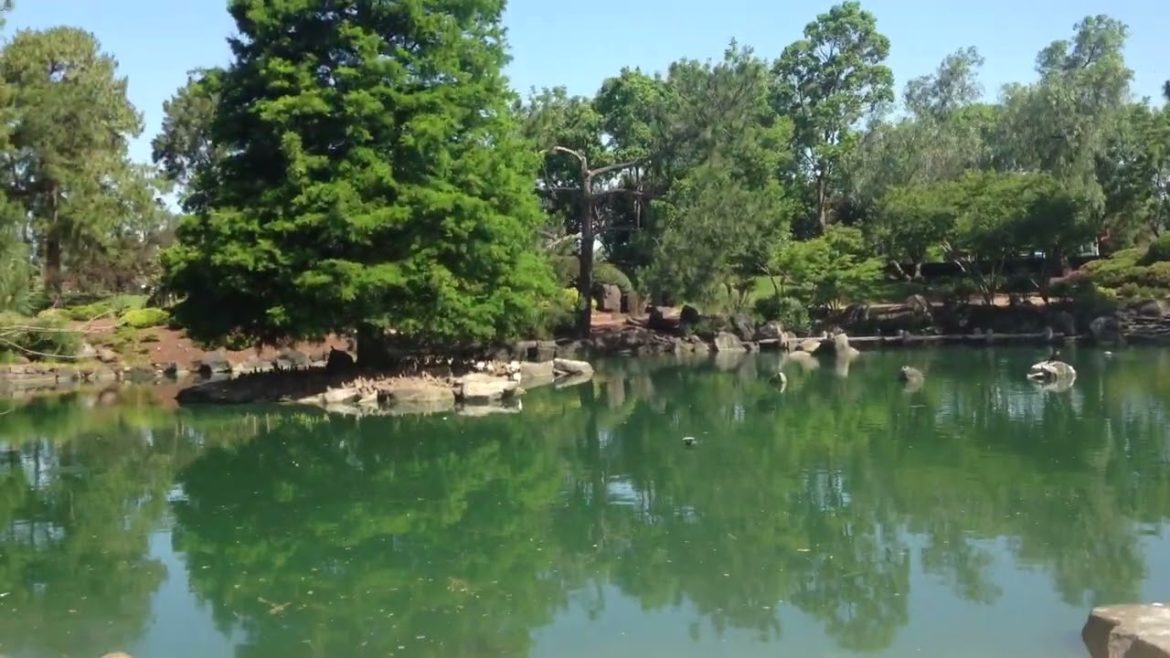 Tranquil Japanese Gardens Tranquil Japanese Gardens