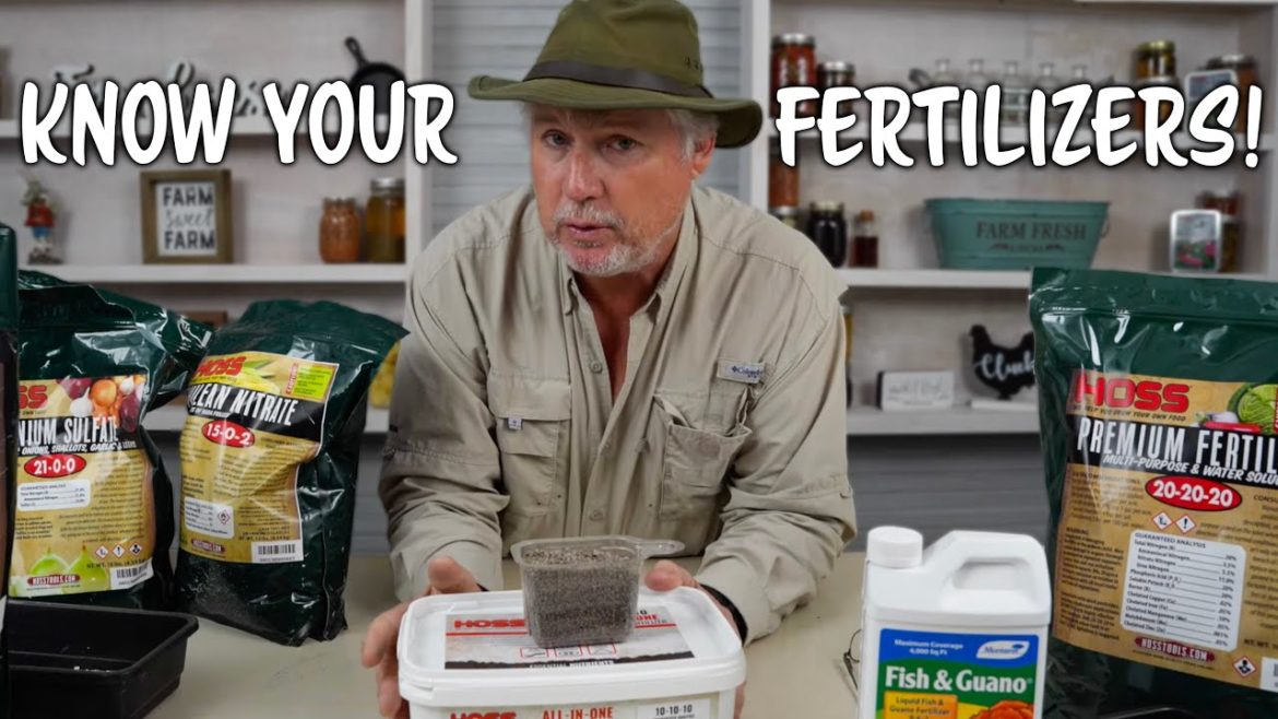 Why Is Fertilizer Important In The Vegetable Garden | Know Your Types