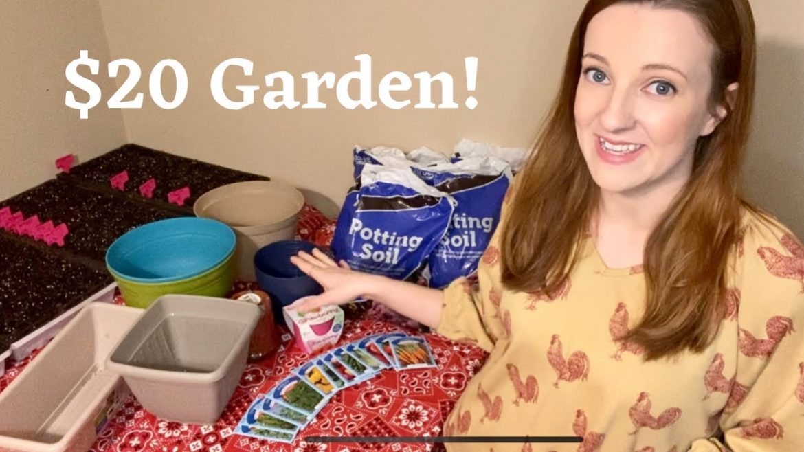 $20 Budget Dollar Tree Container Veggie Garden | 2022 Ep.1