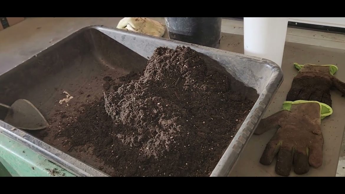 Aunt Susan's Garden – Winter Sowing Supplies Aunt Susan's Garden - Winter Sowing Supplies