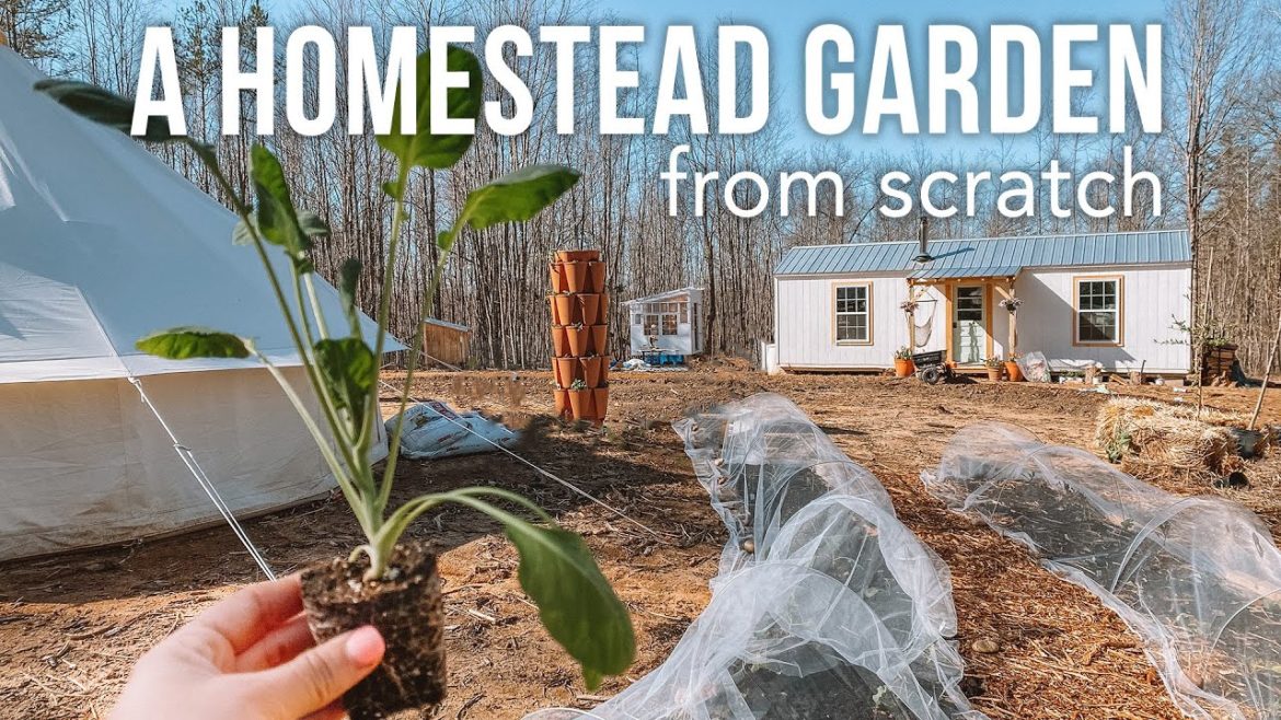 Building A Homestead Garden From Scratch + Gardening Tips