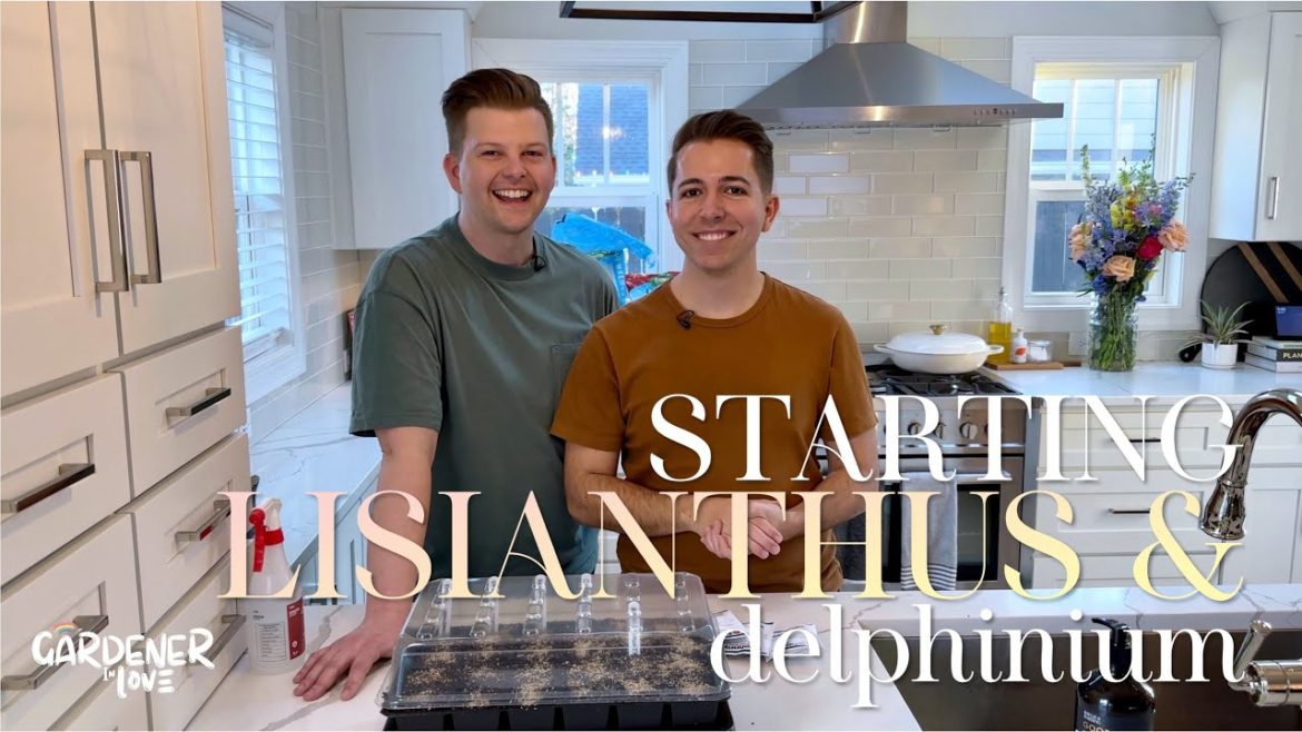 Starting Lisianthus and Delphinium | Gardener in Love