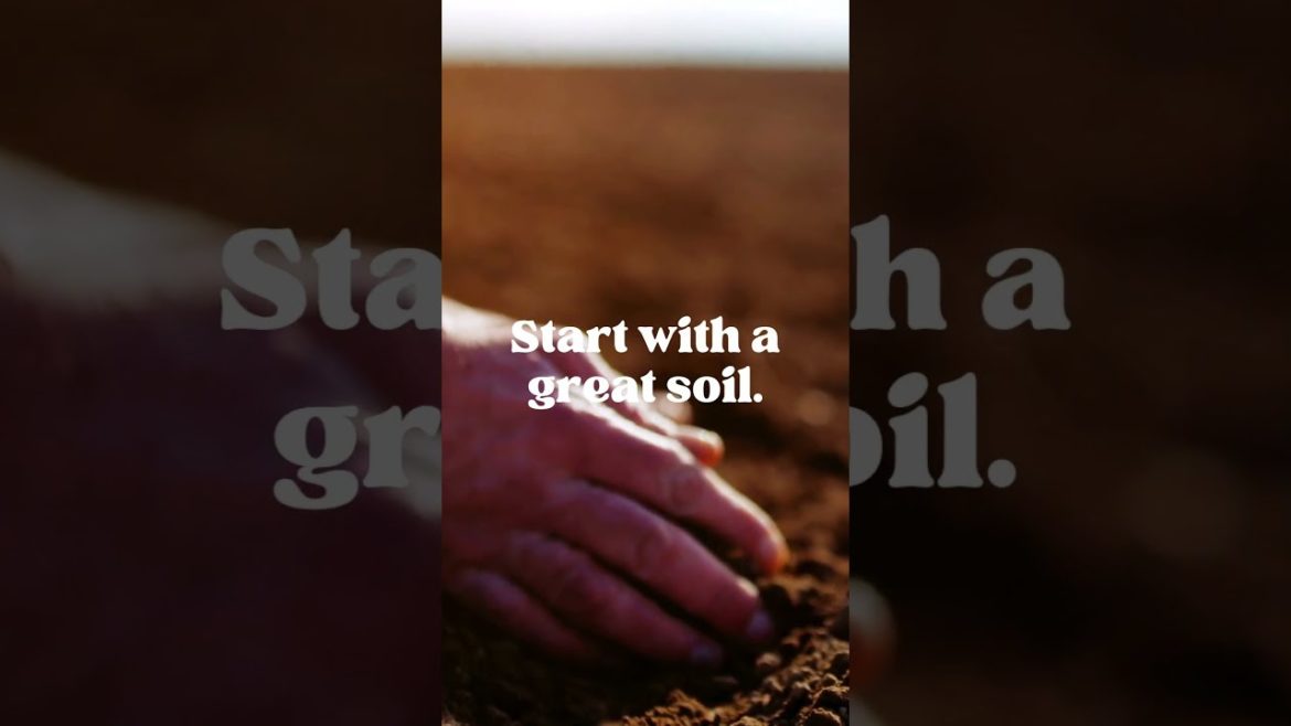 Tips in starting your house garden 2023 | Nekteck