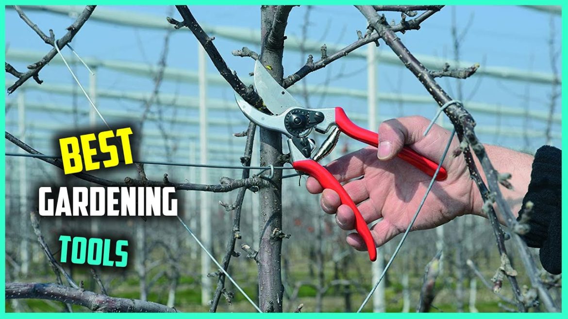 Top 5 Best Gardening Tools for Mom/Arthritic Hands/Vegetable Garden/Weeding/Beginners [Review 2022]