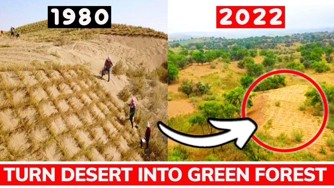 How Generations of Farmers Green Chinas Desert into Forest, Shocked The World! #china