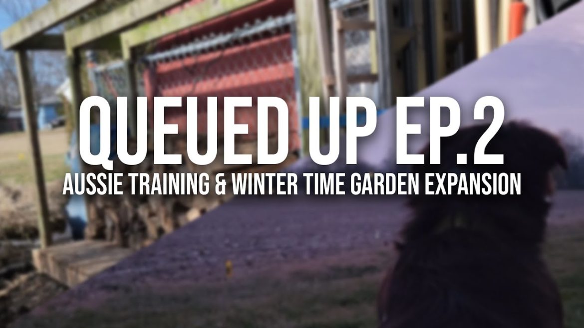 Aussie Training & Winter Garden Expansion (Queued Up Ep.2)