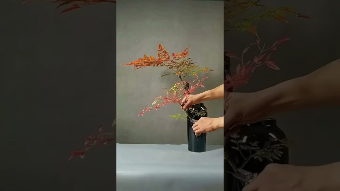 How To Easily Arrange Flowers in a Vase: Hydroponics & Gardening Tips #shorts #hydroponics How To Easily Arrange Flowers in a Vase: Hydroponics & Gardening Tips #shorts #hydroponics