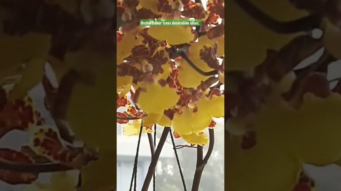 Orchid flowers tree.  Hanging Orchid decoration ideas. #viralvideo #viral #gardening #design #orchid