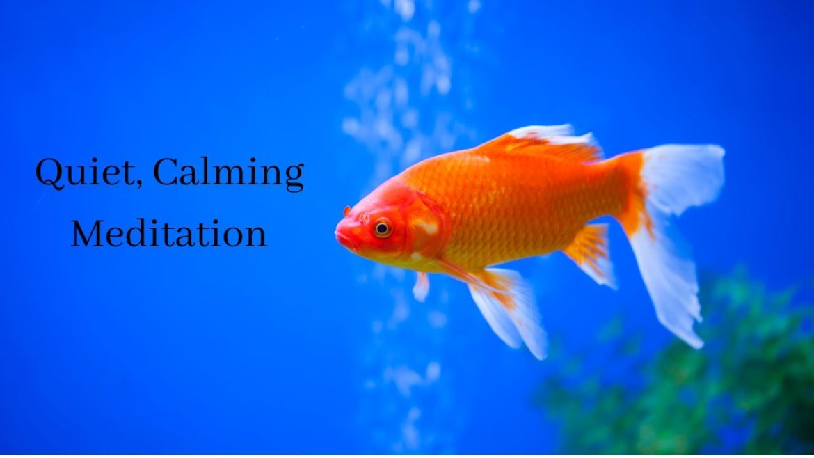KOI FISH | Relaxing Music Therapy | Quiet Calming Music Meditation